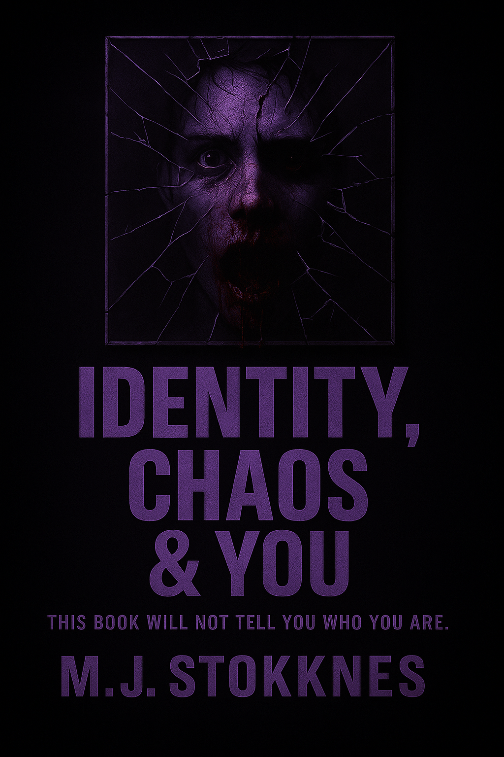 Identity, Chaos and You book cover