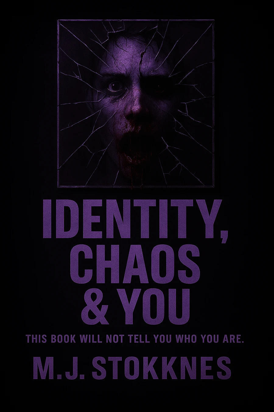 Cover of Identity, Chaos & You