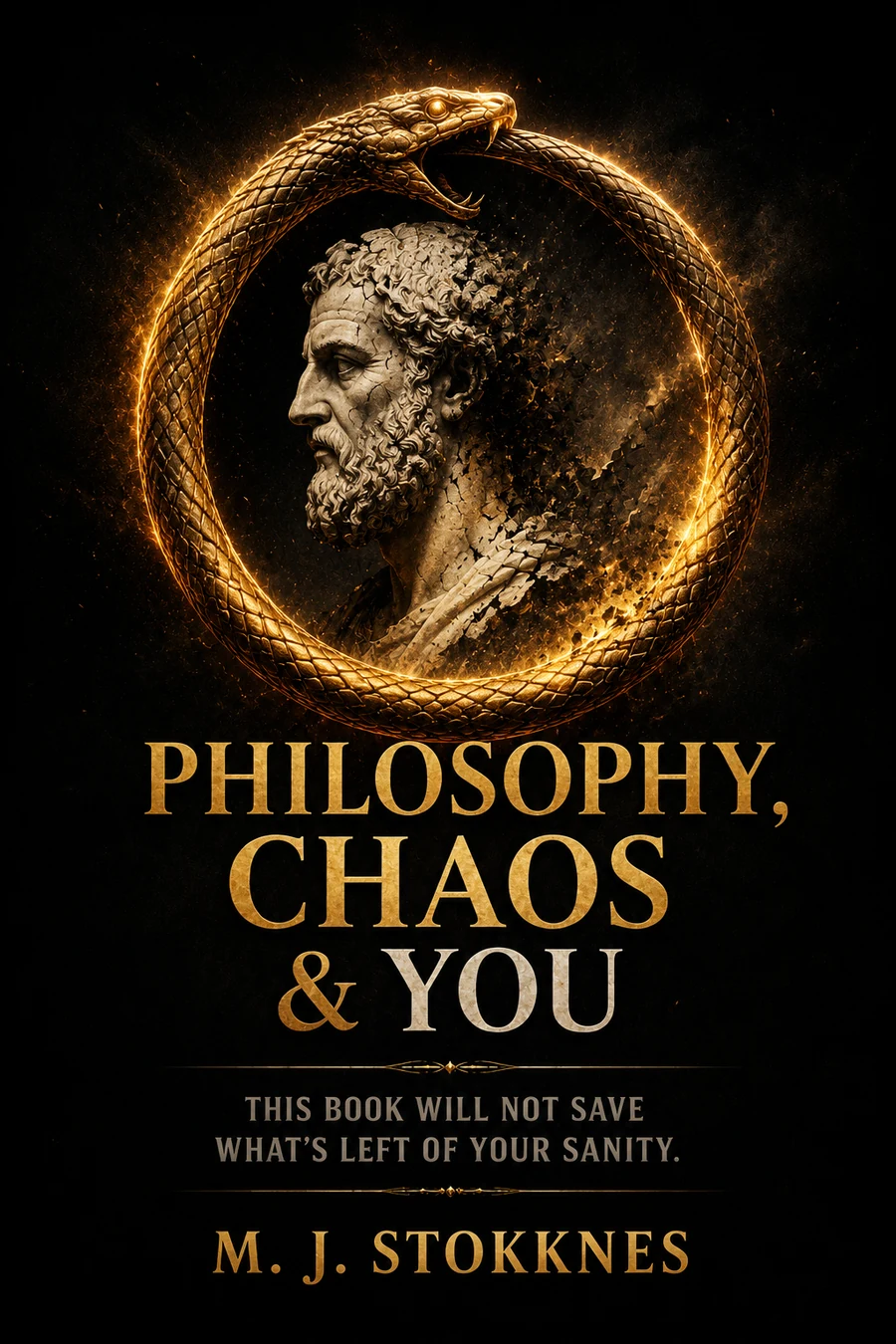 Cover of Philosophy, Chaos & You
